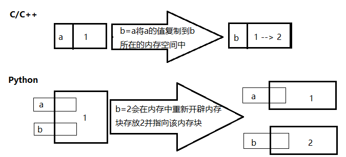 image-20241208204836486